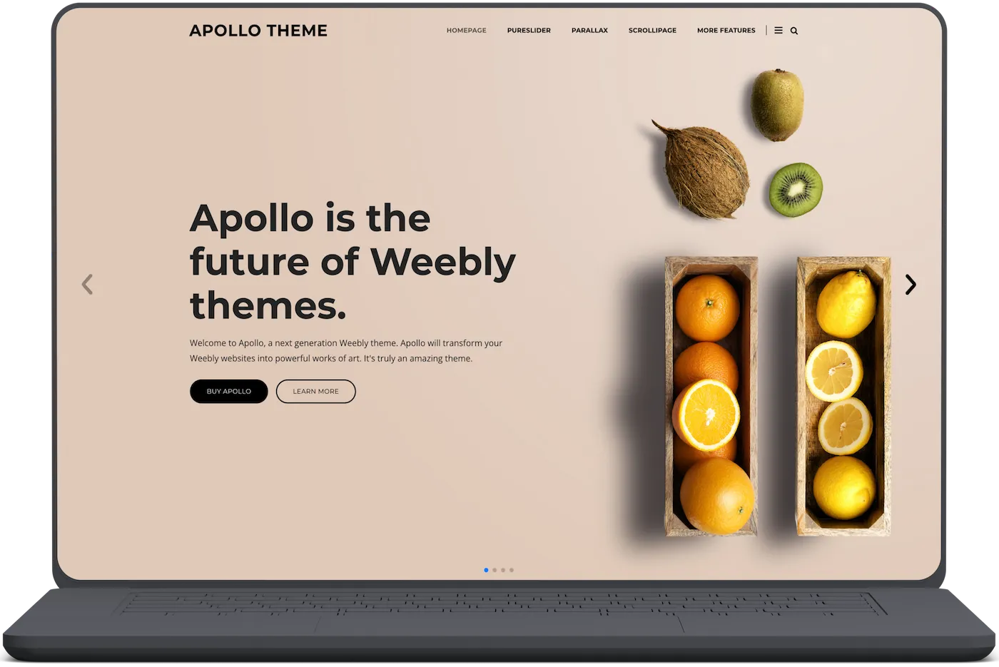 Screenshot of our Apollo theme.