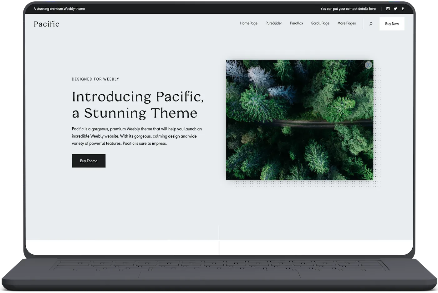 Screenshot of our Pacific Theme