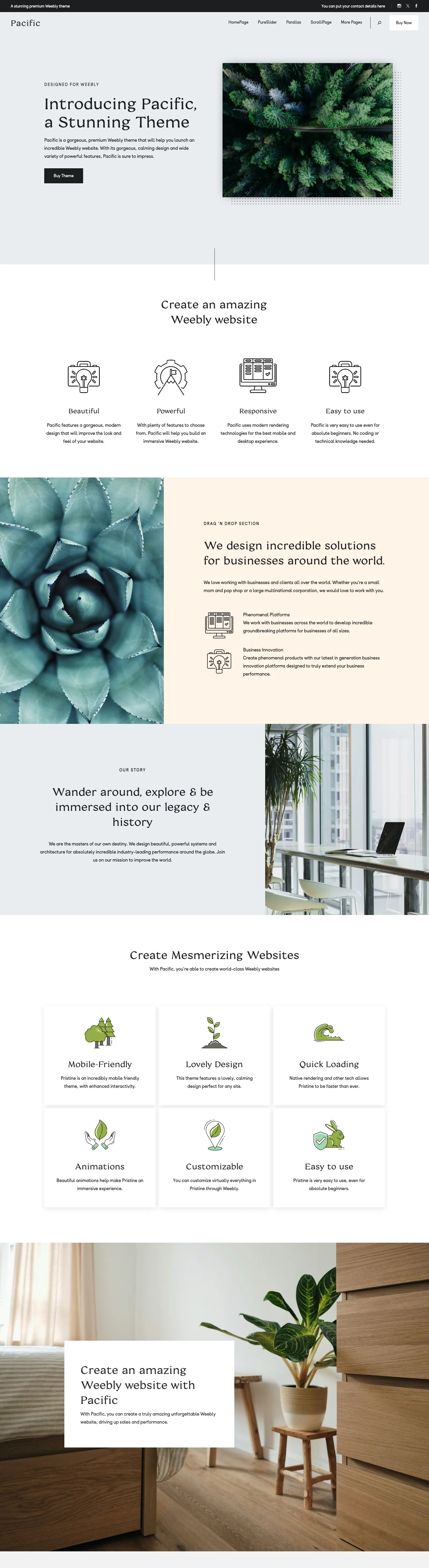 Full-page preview of the Pacific premium Weebly theme